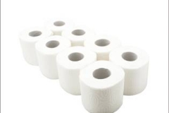 Geoprodukt-Papir toaletni 3-slojni 8u1 bijeli